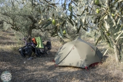 Unser Zeltlager im Olivenhain